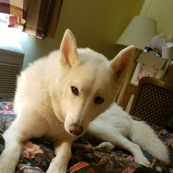 Meet your Posher, Matthew - Picture 1 of 1